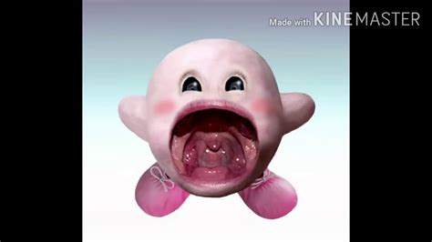 Cursed Kirby Images Youtube