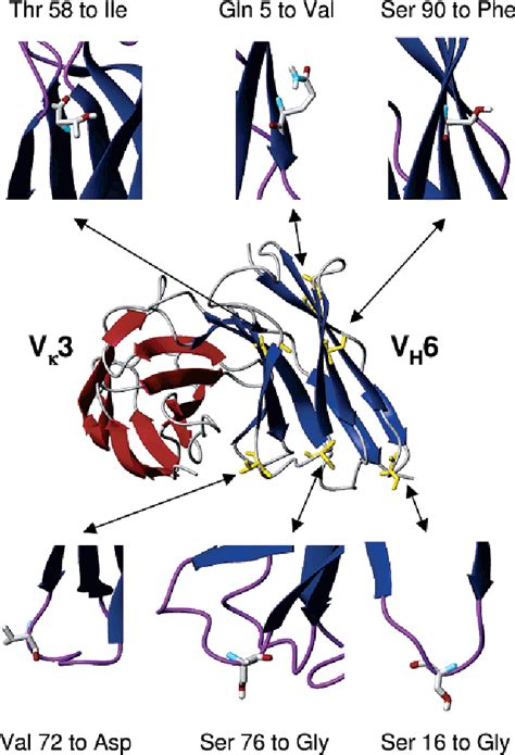 Figure 4 From Structure Based Improvement Of The Biophysical Properties