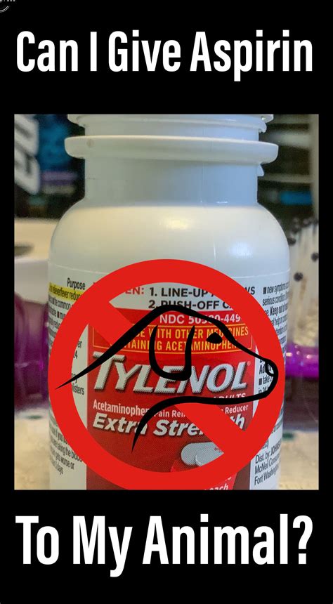 When a blood vessel is damaged, sticky cells called platelets begin to clump together, while proteins in the blood form strands of fibrin. Can My Animal Have Aspirin? | Aspirin, Animals, Sick dog
