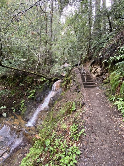 Berry Creek Falls Loop Closed California Alltrails