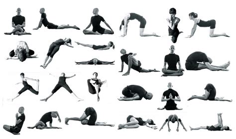 Les 7 postures principales du Yin Yoga With Yin Yoga École de Yin Yoga
