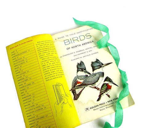 birds of north america golden guide 1966 edition vintage etsy
