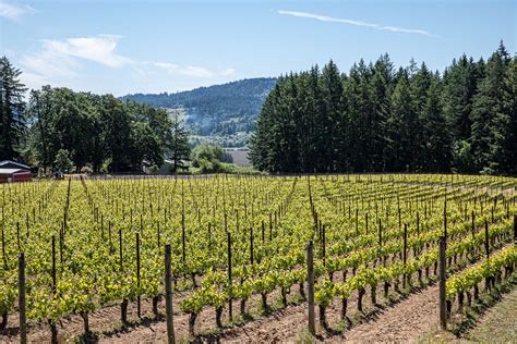Utopia Vineyard And Winery