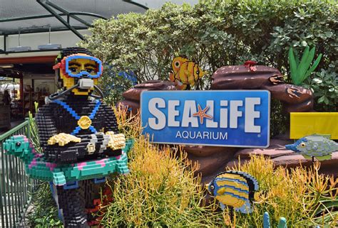Legoland Sea Life Aquarium San Diego Aquarium Views