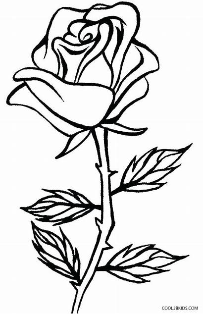 Coloring Pages Garden Rose Printable Roses Getcolorings