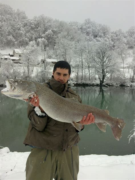 Mladica, 96cm, 5.8kg mesto ulova: Mladica sa Vrbasa - Bistro Bosno i Hercegovino!