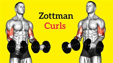 3 Most Effective Zottman Curl Variation To Build Bigger Bicep