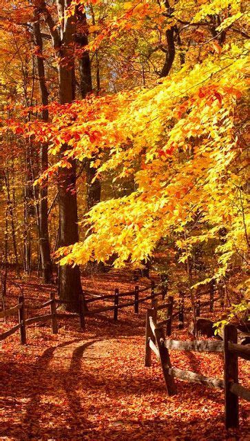 20 Scenic Autumn Photos Around The World Autumn Scenery Scenic