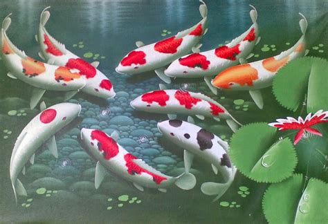 Gambar ikan bandeng gambar ikan berdasarkan nama. Ikan Koi Kartun - Hobi Mancing