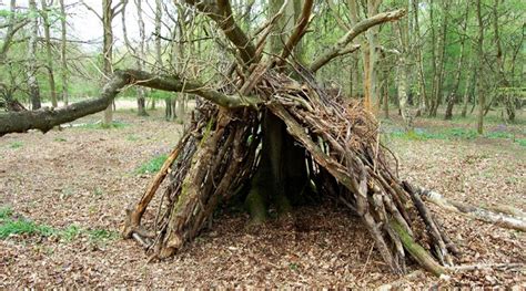 Annual Den Building Competition Friends Of Bourne Woods
