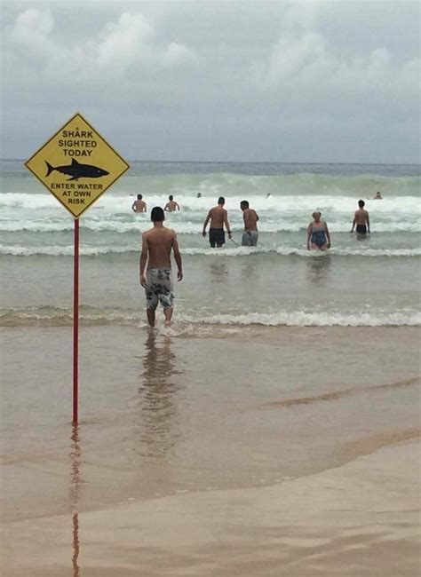 Most Embarrassing Yet Amusing Beach Fails The Kitchen