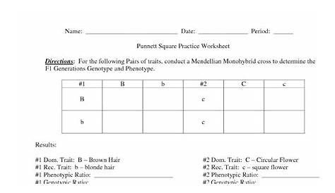 Monohybrid Cross Worksheet Answers Key : Monohybrid And Dihybrid