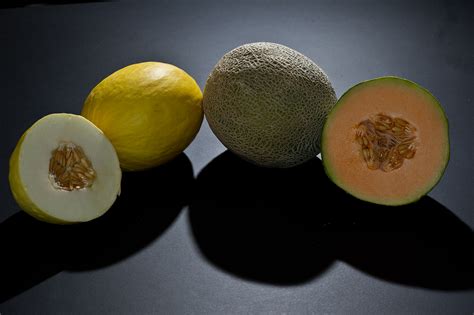 During a recent trip to my local grocery store i stumbled upon a fruit i've never seen before: Melon - Simple English Wikipedia, the free encyclopedia
