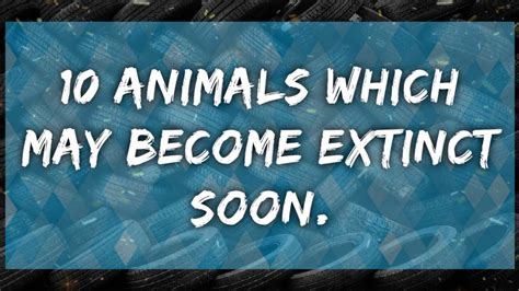 10 Animals Which May Become Extinct In 2020 Youtube