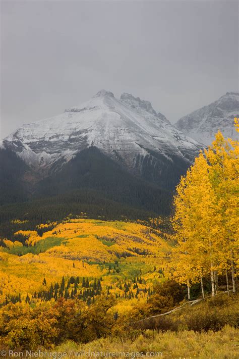 Autumn Colors And The Sneffels Range Photos By Ron Niebrugge