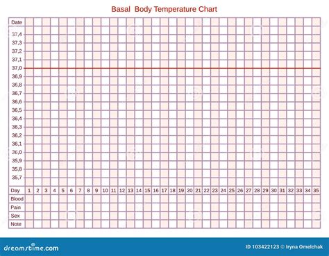 Vector Basal Chart Of Body Temperature On Celsius Schedule For Self