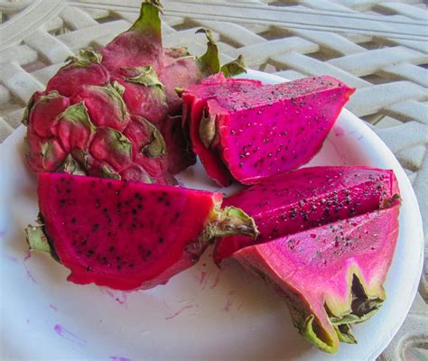 Cannundrums Red Dragon Fruit
