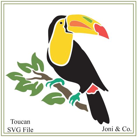 Toucan Svg Tropical Bird Illustration Tropical Animals Svg Etsy