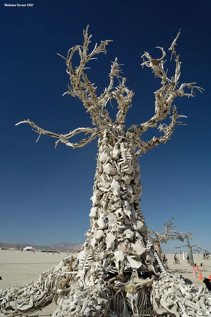 Bone Tree Flickr Photo Sharing
