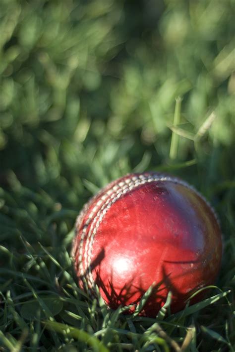 A cricket ball is a hard, solid ball used to play cricket. Free Stock Photo 4842 traditional cricket ball ...