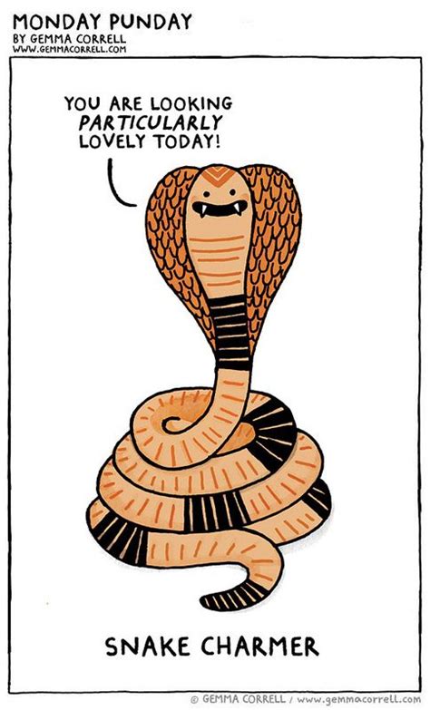 Snake Charmer Gemma Correll Punny Jokes Funny Puns Hilarious Funny