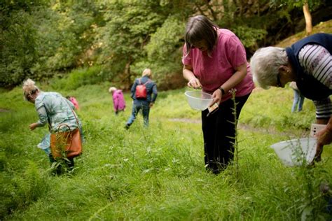 A Beginner's Guide To Foraging | HuffPost UK Life