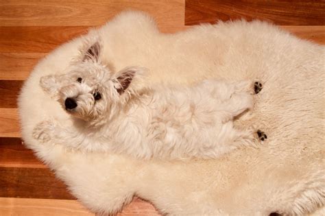 Istansilk – Welcome to Estansilk, where elegance meets comfort in the