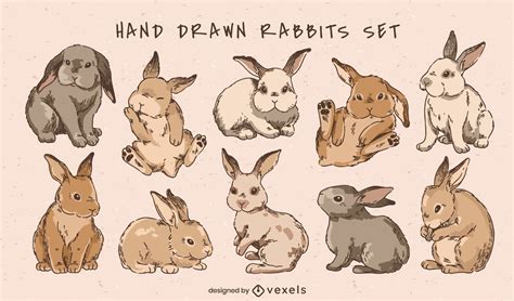Rabbit Vector And Graphics To Download