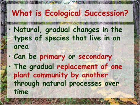 Ppt Changes In Ecosystems Ecological Succession Powerpoint