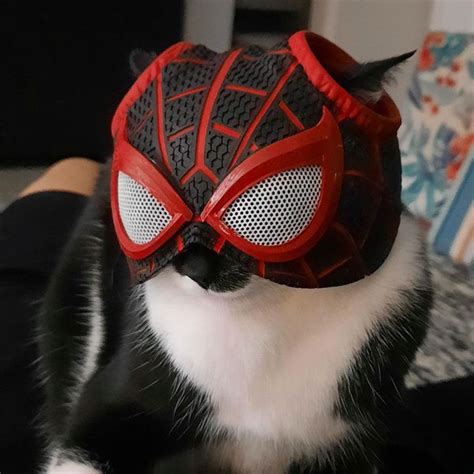 Spider Cat Miles Morales Mask Impreso En 3d・cults