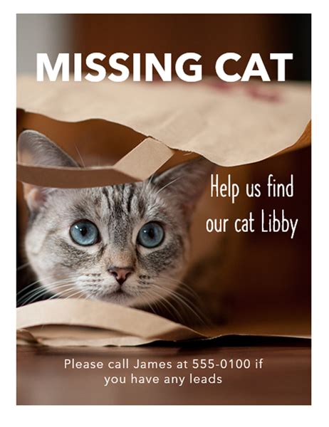 Missing Cat Flyer