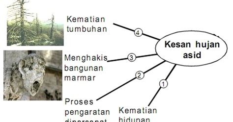Well let me tell you something. Pertandingan Blog 2013: Antara kesan hujan asid terhadap ...