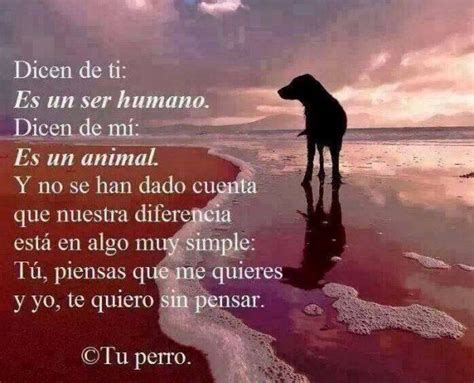Poema Para Mi Perro Que Murió Perros Frases Animales Frases Love My Dog