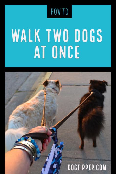 Walking Dogs At The Same Time Ar