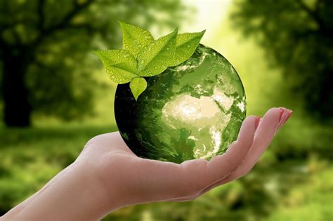 C Mo Conservar El Planeta Reciclando Productos Desechables Crear Y