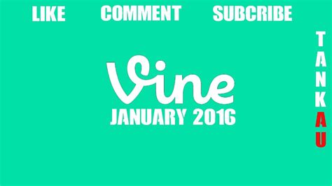 Best Vines Of January 2016 Youtube