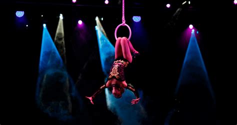 Showtime Show Performance Variate Circus Acrobats Aerial Aerialist Aerialring
