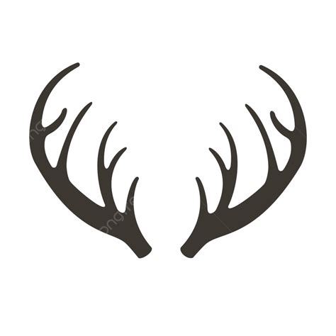 Hunting Trophies Vector Illustration Of Deer Antlers And Reindeer