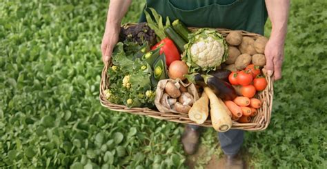 A Guide to Organic Farming Degrees and Careers | BestColleges