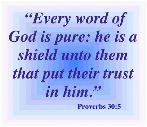 The Living — Proverbs 305 Nkjv Every Word Of God Is Pure