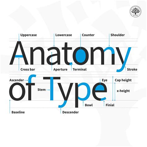 Typeface Anatomy Cuma Asal Omong