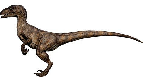 Velociraptor Jurassic Park 1993 By 3383383563 On Deviantart