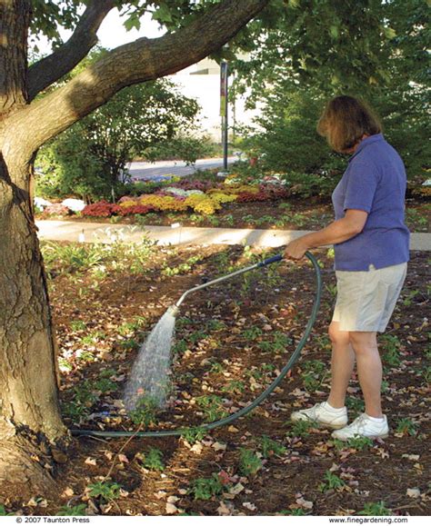 Check spelling or type a new query. Planting under a Tree - FineGardening