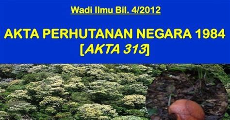 Akta berkaitan alam sekitar perlu diperketatkan bagi memastikan kelompangan dalam akta itu ditangani dan menjadikannya lebih berkesan bagi mengatasi isu pengarah jabatan alam sekitar (jas) johor, wan abdul latiff wan jaafar. BLOG CgDEEN , KUALA ROMPIN.