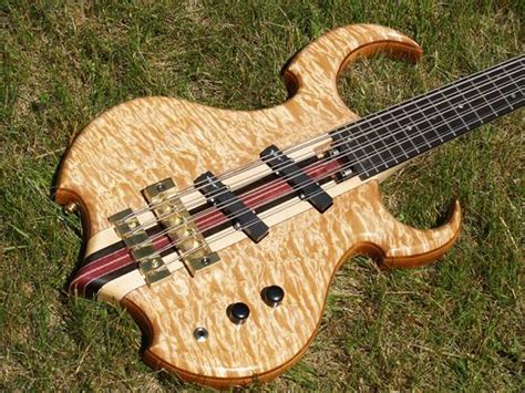10 String Bass Next Bass Build Idea