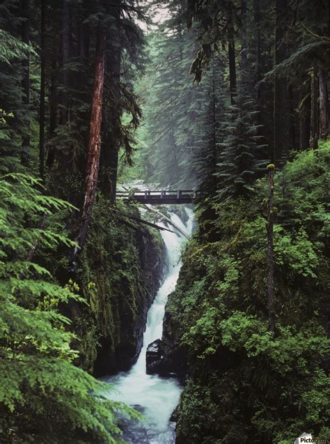 Sol Duc Falls Plunges Down The Cliffs Forks Washington United States