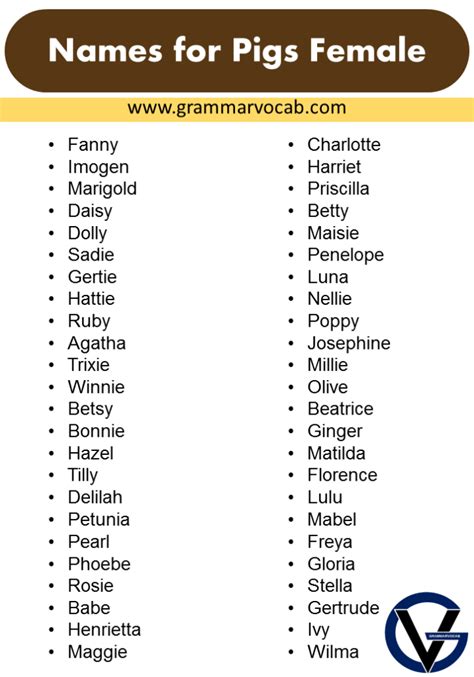 Cute Names For Pet Pigs Name Ideas That Will Suit Your Pet Grammarvocab