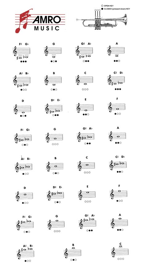 Cello Finger Placement Chart Cello Technique Wikipedia Below Is The