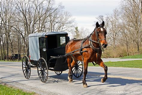 Amish Buggies Amish Pennsylvania Dutch Amish Country Amish Culture My