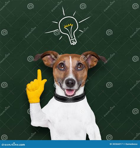 Dog Idea Stock Image Image Of Frame Humor Background 30366017